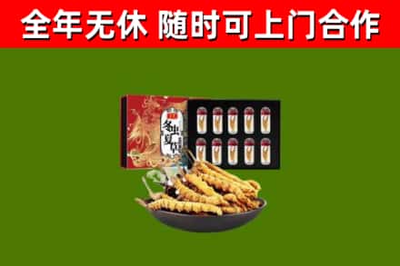 镇江回收冬虫夏草价格